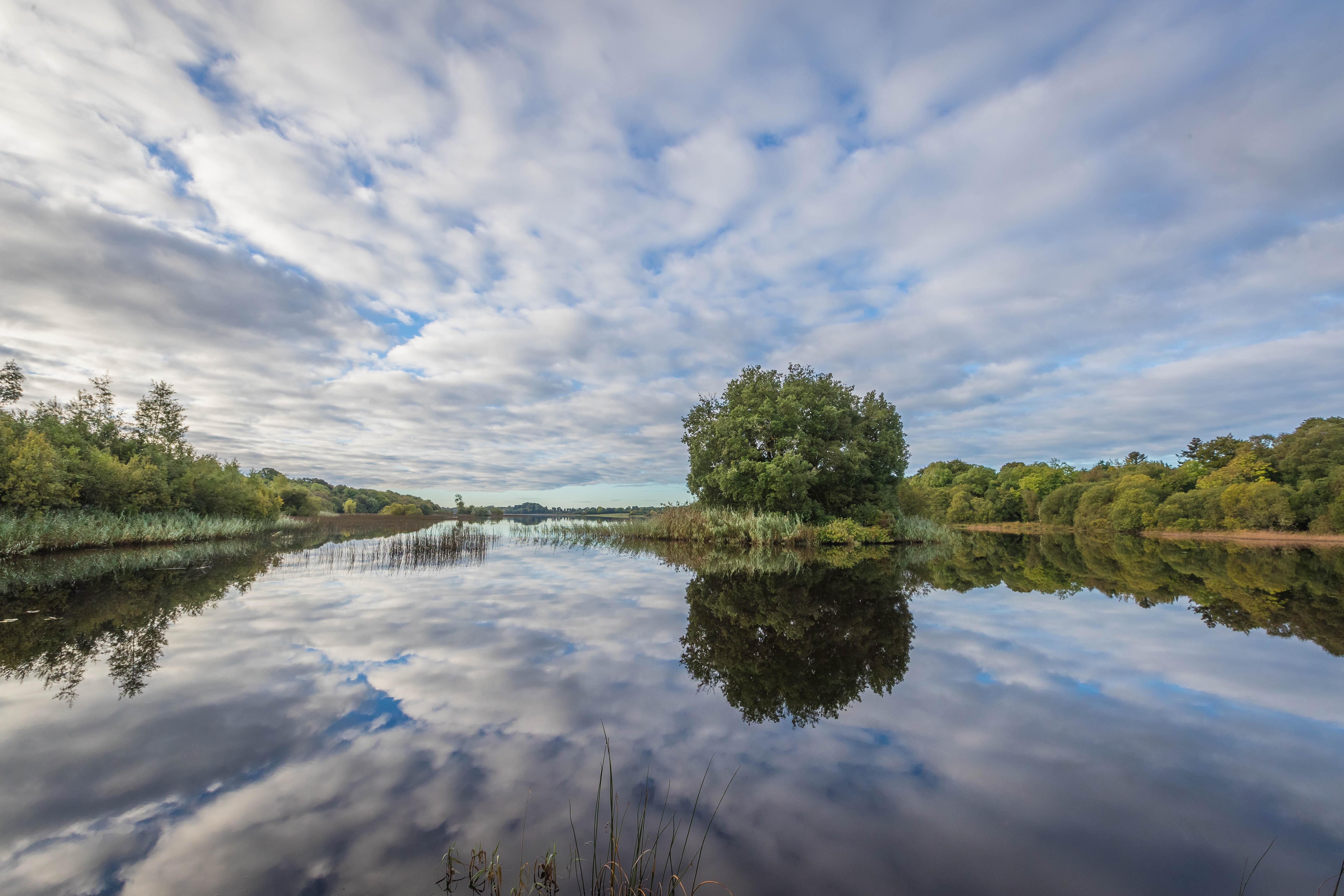 Lough Rynn Castle Ξενοδοχείο Mohill Εξωτερικό φωτογραφία